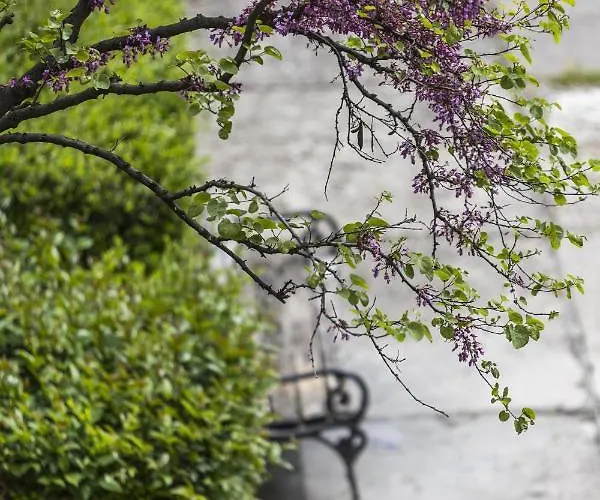 Apartment Alan Zadar