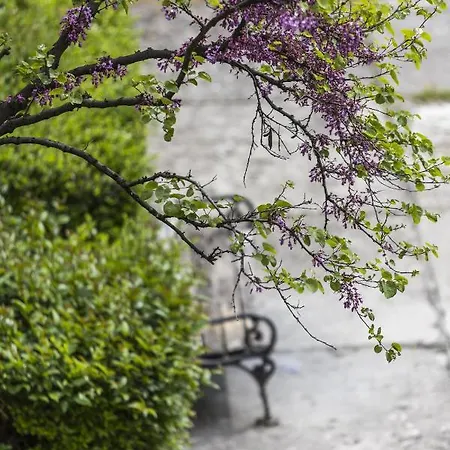 Appartamento Alan Zara